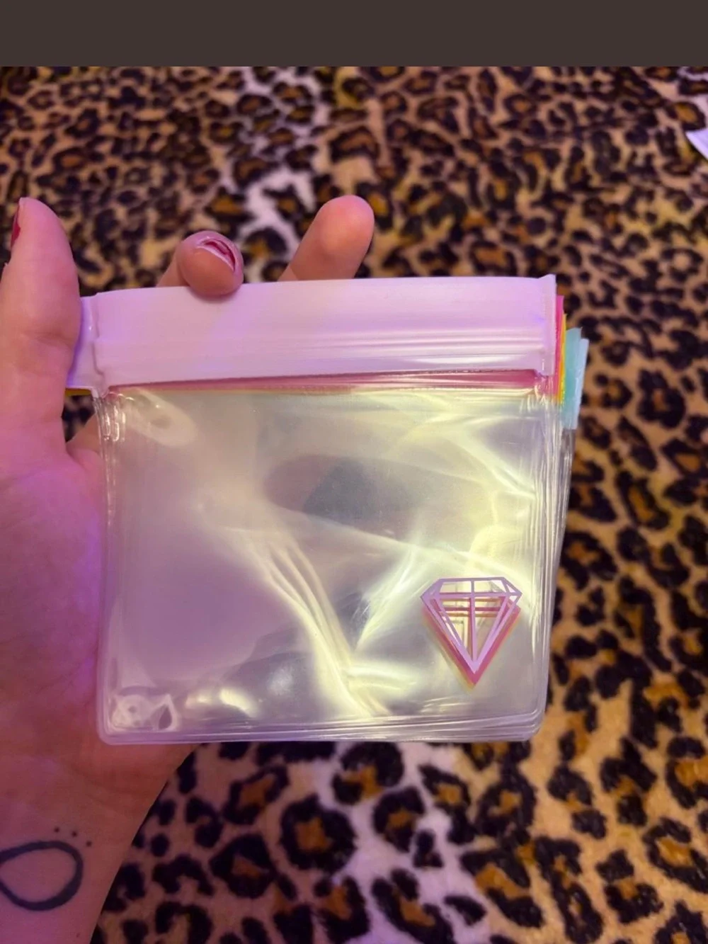 Assorted Neon Clear Zipper Pouches